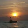 rickmcbride28 - @rickmcbride28 - TikTok