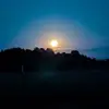 rickmcbride51 - @rickmcbride51 - TikTok