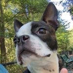 Rich McCombs - @millytheboston - Instagram
