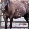 kam - @rick.mcfall4 - TikTok