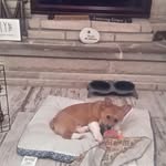 Rickey Mcfall - @rickeymcfall - Instagram