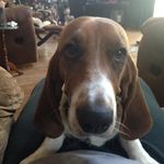 Rick McKinney - @rickmckinney84 - Instagram