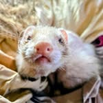 Rick McKinney - @jigglebox - Instagram