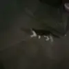 Rick Mckinney - @rick.mckinney3 - TikTok