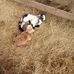 Ricky Mckinney - Facebook