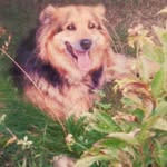 Rick Mc Pherson - @rick.mcpherson.393 - Instagram