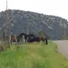 rickmcpherson181 - @rickmcpherson181 - TikTok