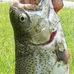 Ric Mears - Facebook