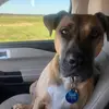 rickmears582 - @rickmears582 - TikTok