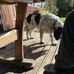 Ricky Meeks - Facebook
