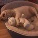 Richard Messersmith - Facebook