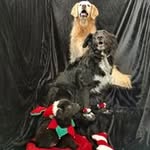 Rick Morris - @rick_morris - Instagram