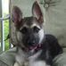 Rick Moya - Facebook