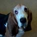 Rick Mumby - Facebook
