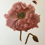 Richard Murdock - @richardjmurdock - Instagram