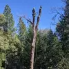rickmusa570 - @rickmusa570 - TikTok