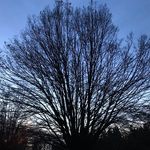 Rick Maddocks - @rick.maddocks.musick - Instagram