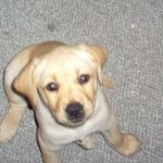 Rick Orton - @rick.orton.79 - Instagram