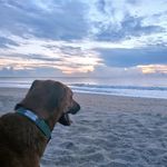 Rick Osborn - @rick.399 - Instagram