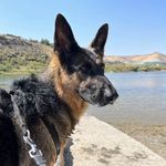 Rick Osborn - @richardosborn1 - Instagram