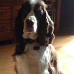 Rick oster - @rickoster9089 - Instagram