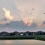 Rick Oswalt - @rickorock2000 - Instagram