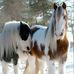 Rick Oswalt - Facebook