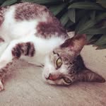Rick - @rick_patino - Instagram