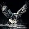 Rickpaz 06 - @re.ungd.02 - TikTok