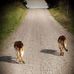 Rick Pickard - Facebook