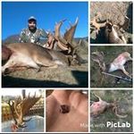 Rick Pike - @papayastag - Instagram