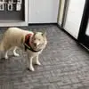 Rick Power - @rick.power5 - TikTok