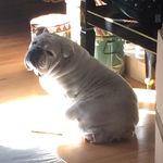 Rick Pugh - @pugh.rick - Instagram