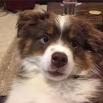 Rick Pam Quick - @rickpamquick - Instagram