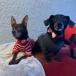 Rick & Ralph - @rickandralph - Instagram