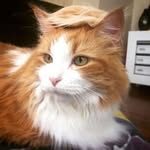 Rick Ramsay - @whatanoobs - Instagram