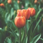 rick rathore - @rathorerick - Instagram