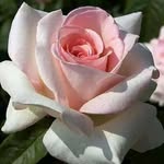 James Fredrick Rawlings - @jamesfredrickrawlings08 - Instagram