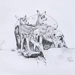 Rick Reber - @reberrick - Instagram