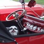 Rick Redden - @reddenrick - Instagram