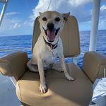 Rick Reger - @snags_n_alaska - Instagram