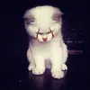 rickreimann03 - @rickreimann03 - TikTok