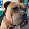 Rich Reinhardt - @richreinhardt - TikTok