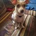 Rick Renaud - Facebook