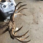 Rick Reno - @rutnut11 - Instagram