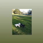 Richard Ressler - @richard_ressler - Instagram