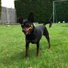 Rick.Dings - @rick.dings - TikTok