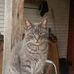 Rick Risner - Facebook