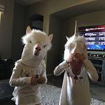 Rick Risner - @elrizzo22 - Instagram