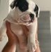 Rick Robson - Facebook